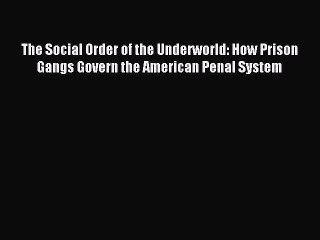 [PDF] The Social Order of the Underworld: How Prison Gangs Govern the American Penal System