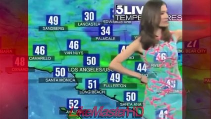 Funny Videos - Funniest Laughing News Bloopers Compilation