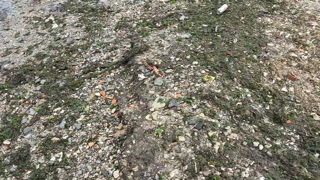 Черные воды Черного моря омывают черные берега Феодосии