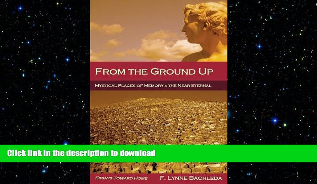 FAVORIT BOOK From the Ground Up: Mystical Places of Memory   the Near Eternal: Essays Toward Home