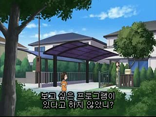 개구리 중사 케로로 304화