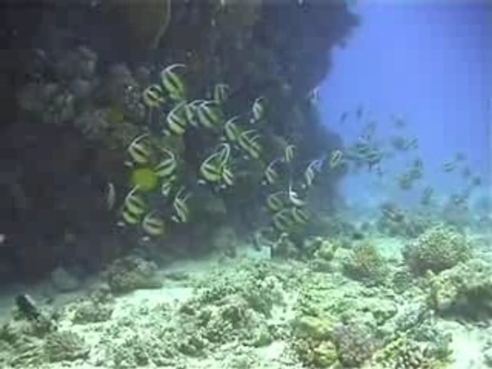 Egypte