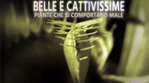 PIANTE CARNIVORE: BELLE & CATTIVISSIME (Documentario)