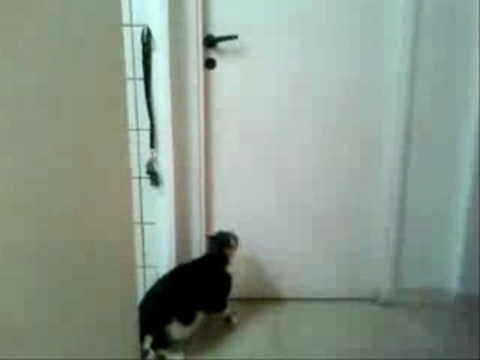 Apéro ouvre les portes tout seul comme un grand!!!!