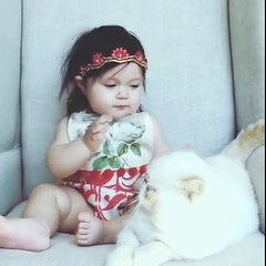 Cute Cats are always funny- part 3