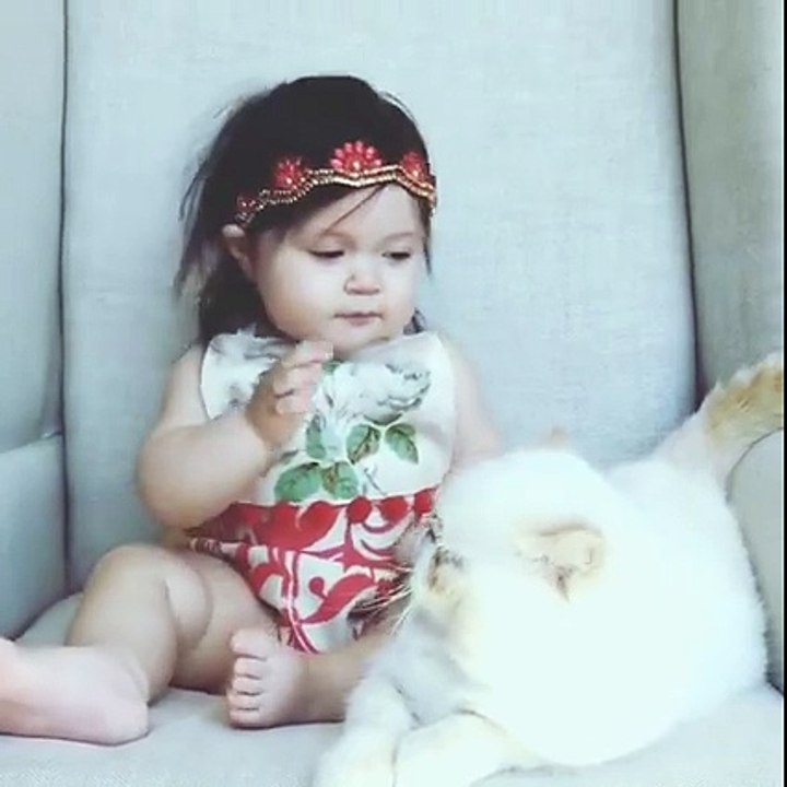 Cute Cats are always funny- part 3