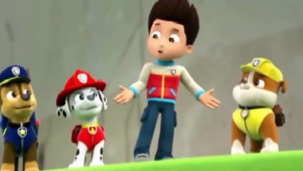 ᴴᴰ Best Animation Movies For Kids New Cartoon Movies In Urdu Pups Save a Floundering Francois-Tg4KBPLXl-34