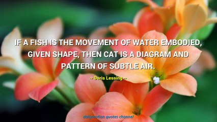 Doris Lessing Quotes #3