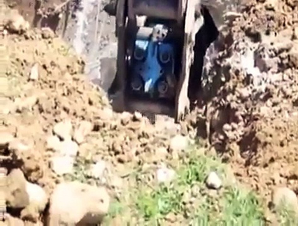 Des ouvriers font une drôle de découverte sur leur chantier