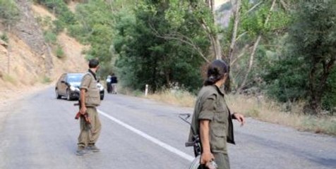 PKK, Bitlis'te Yol Kesti! 1 Polis Yaralı