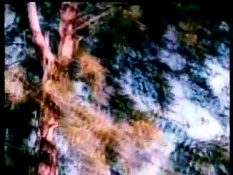 Akele Hi Akele Chala Hai Kahan Lata Mangeshkar Film Gopi Music Kalyanji Anandji