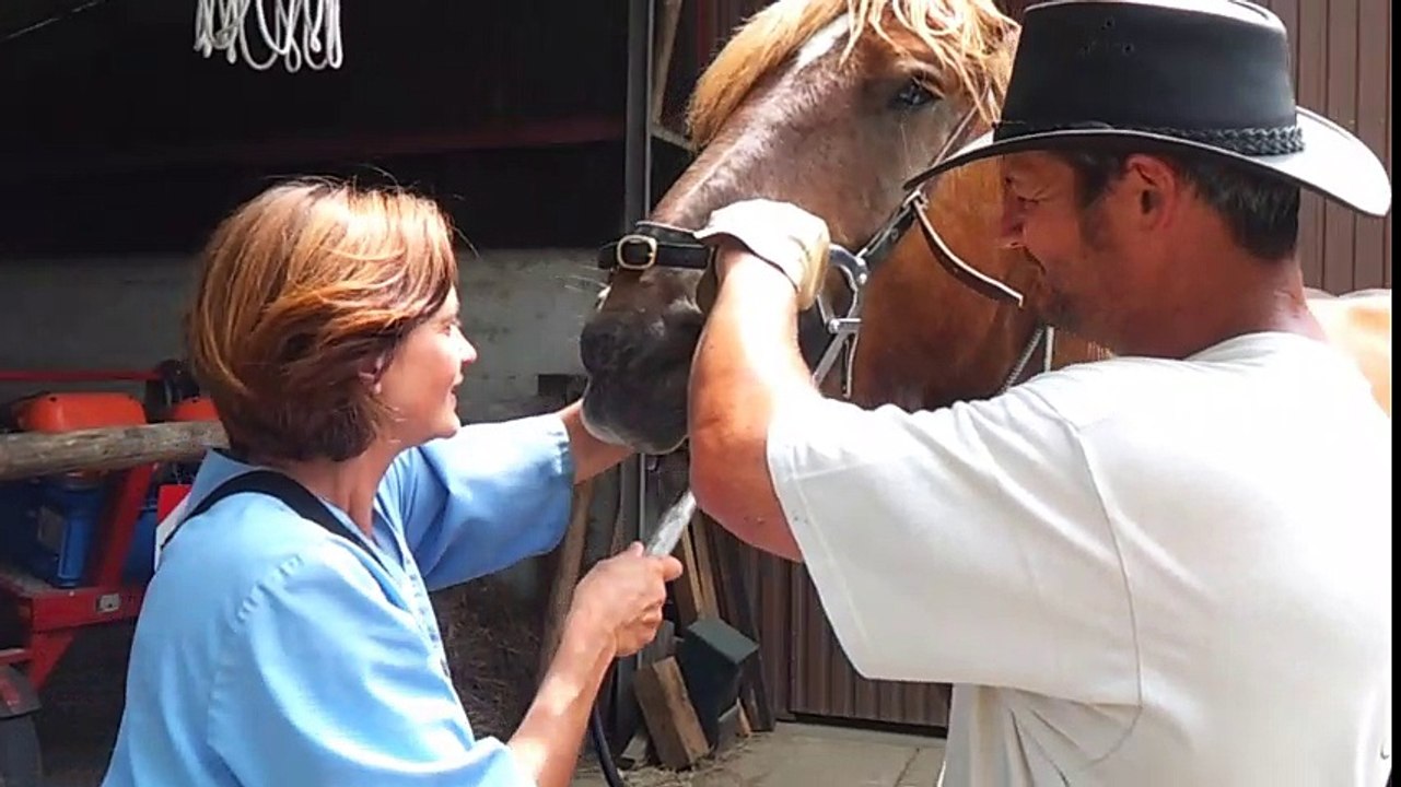 Skippy chez le dentiste