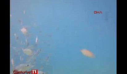 Su altında eşsiz  30 Ağustos kutlaması