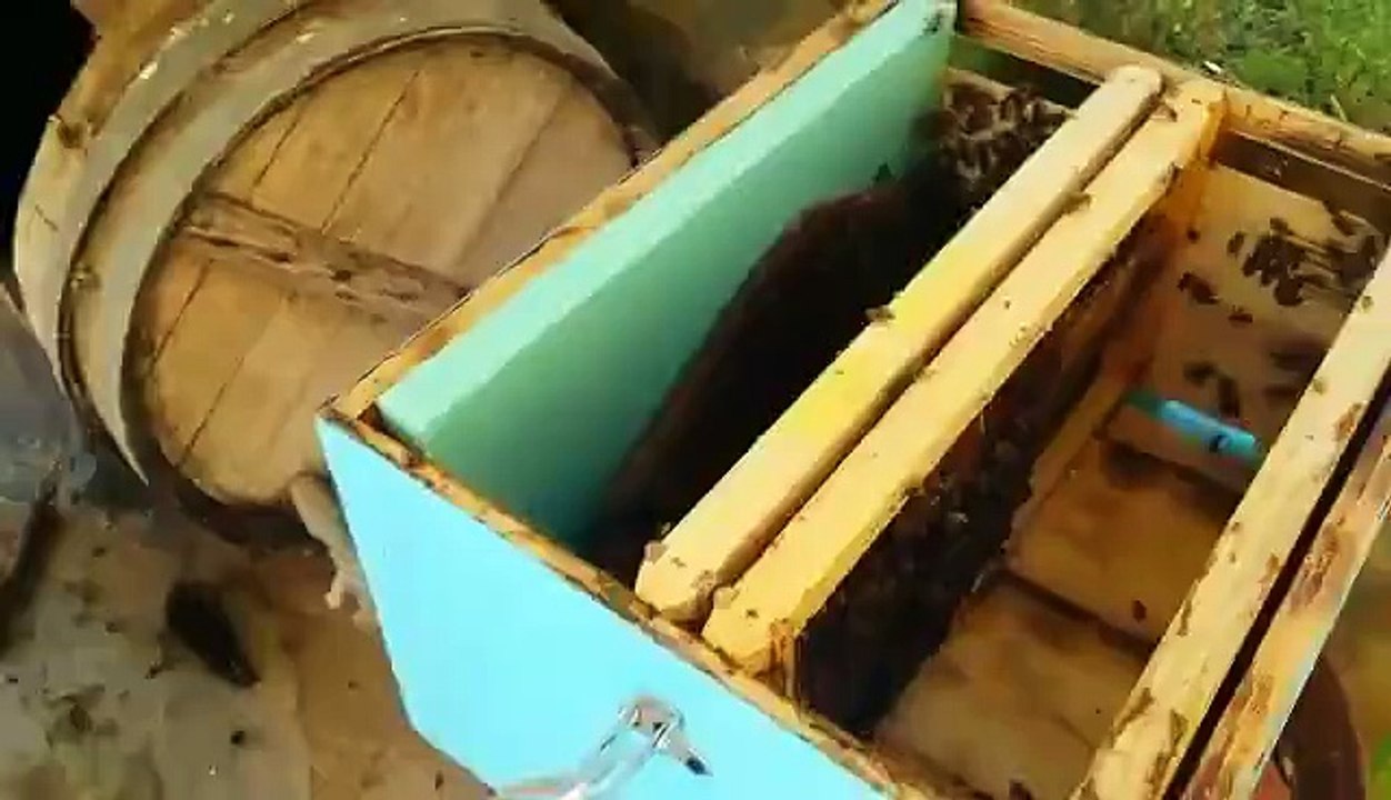 Αφεσμός σε βαρέλι 1