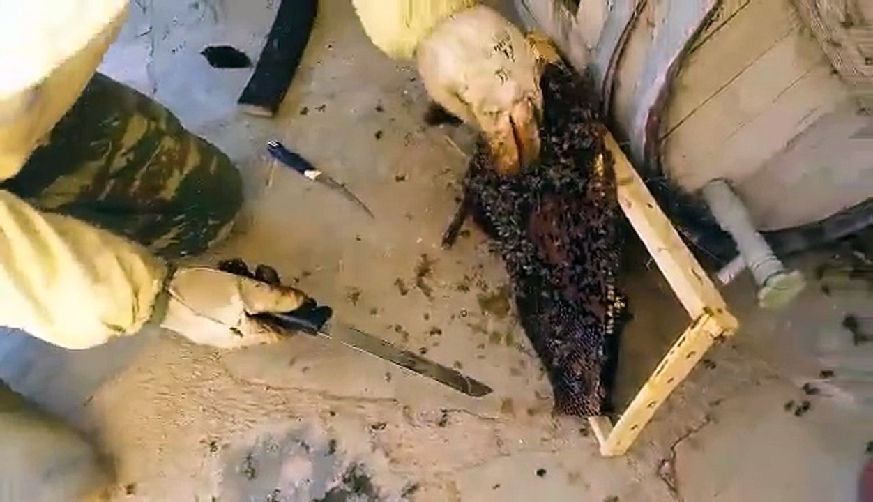 Αφεσμός σε βαρέλι 2