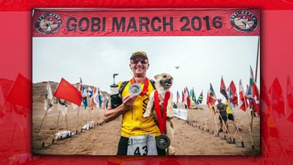 Cute Drunk Scary Animals!