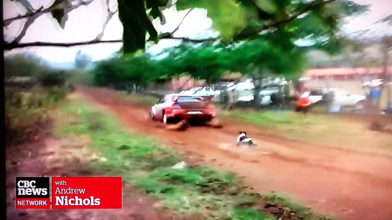 Luckiest dog alive!!