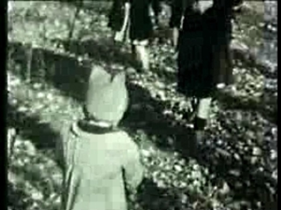 Films 1950 - 1952