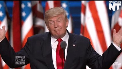 This Dude Scammed A Million Bucks Out Of Trump Supporters