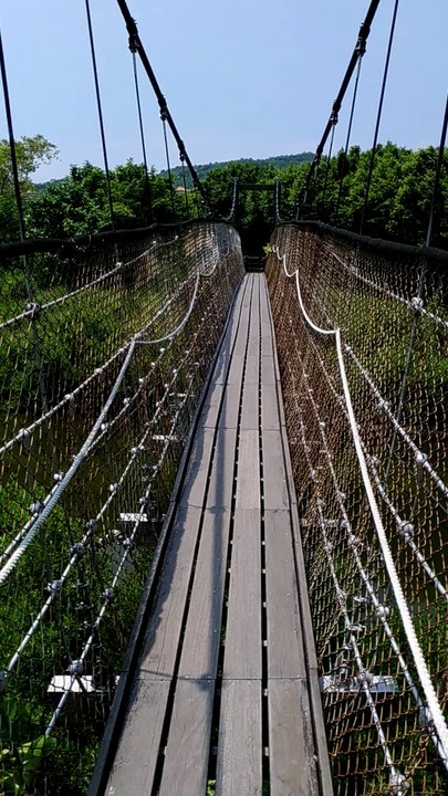 Zenfone3 防手震實驗01，中都濕地公園，走吊橋攝影