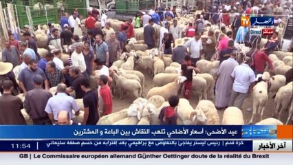 عيد الأضحى..   أسعار الأضاحي تلهب النقاش بين الباعة و المشترين