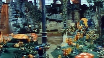 Gene Wilder fallece a los 83 años