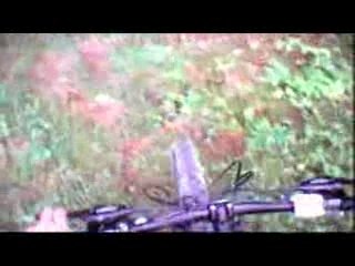 VTT DH 29-07-07 LW QUALITE