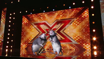 What scares Simon the most The Xtra Factor UK 2015