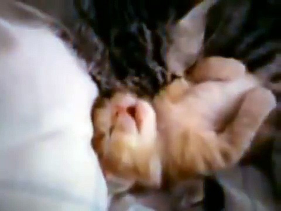 Mom cat hugs kitten having a bad dream - too cute -