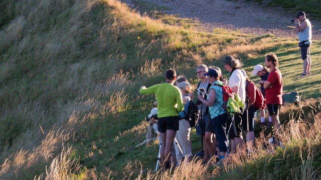 A la recherche des chamois des Vosges