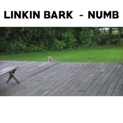 Une version trop drôle de Linkin Park - Numb