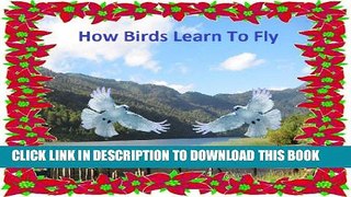 [PDF] How Birds Learn To Fly Popular Collection