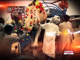 Watch this informative video before buying Sacrificial animal