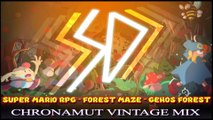 [Song] Chronamut - Forest Maze - Genos Forest (Super Mario RPG Vintage Mix)