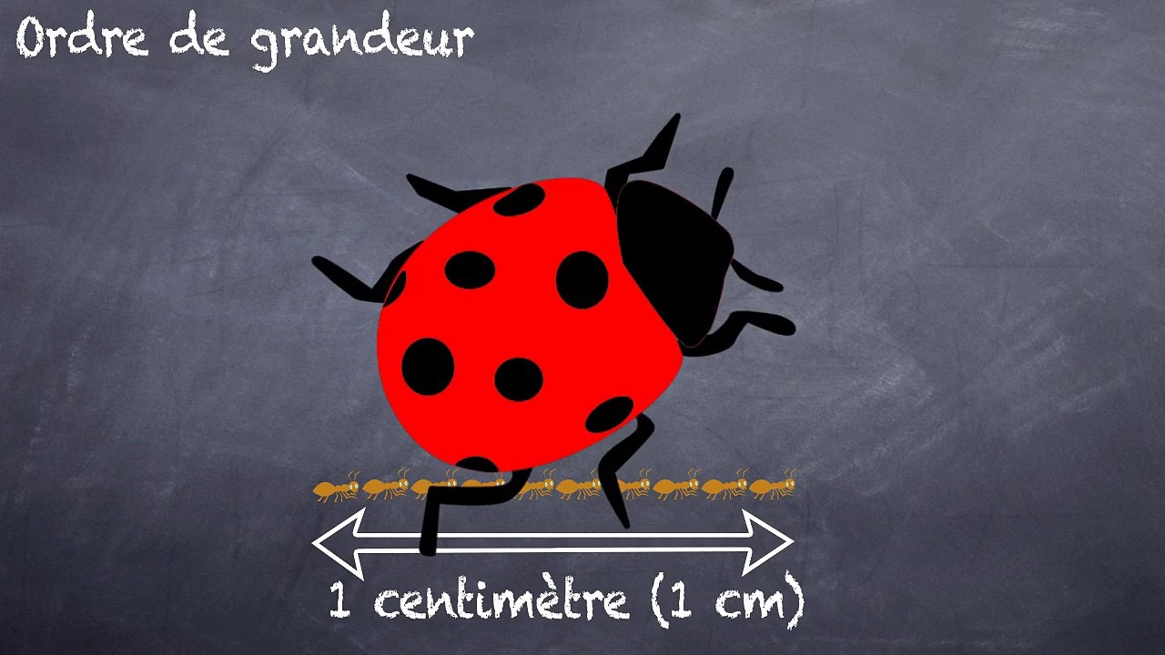 6ème Les opérations Ordre de grandeur et unités