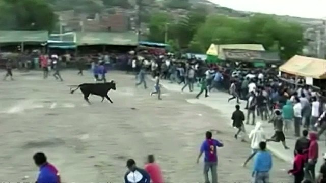 Nine people gored by bulls at religious festival in Peru