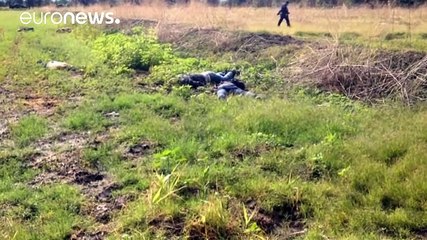 Мексика: шеф полиции уволен после расправы над наркоторговцами