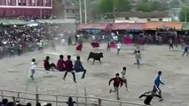 Nine people gored by bulls at religious festival in Peru