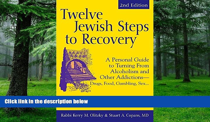 Big Deals  Twelve Jewish Steps to Recovery 2/E: A Personal Guide to Turning From Alcoholism and