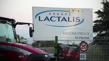 Lait : la FNSEA fait monter la pression sur Lactalis