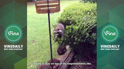 450+ AMERICA'S FUNNIEST HOME VIDEOS Vine Compilations 2016 - Funny AFHV Vines HD ( W- Titles)_83