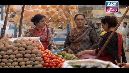 Haal-e-Dil Ep 02 on Ary Zindagi in High Quality 30th August 2016