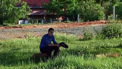 مسلسل زهرة القصر جزء و الموسم 4 الرابع الحلقة 52 كاملة مدبلجة