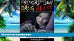 Big Deals  Prescription Drug Abuse: An Essential Guide to Understanding Prescription Drug