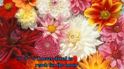 [AB Karaoke] Over And Over - Nana Mouskouri - Full HD