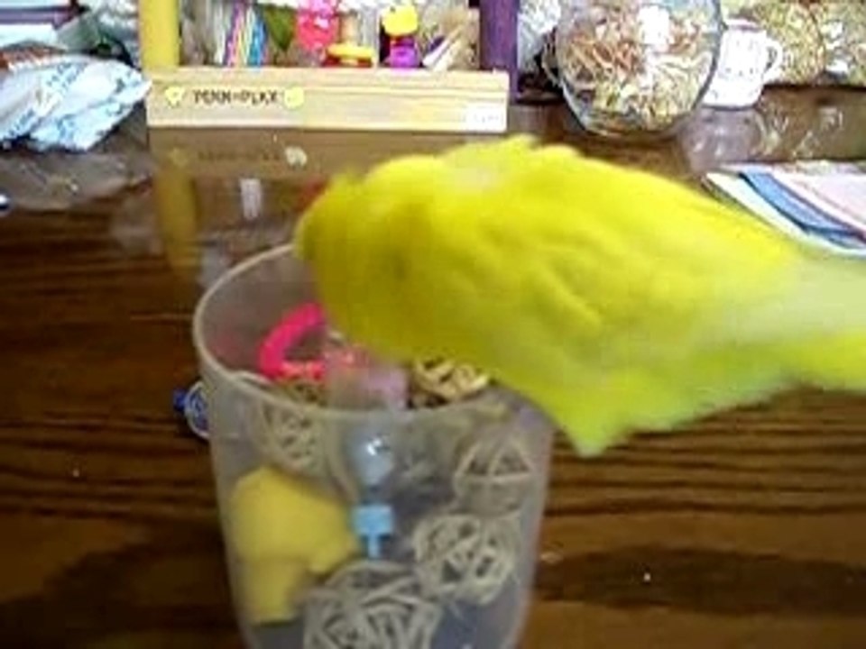 ポイ捨て