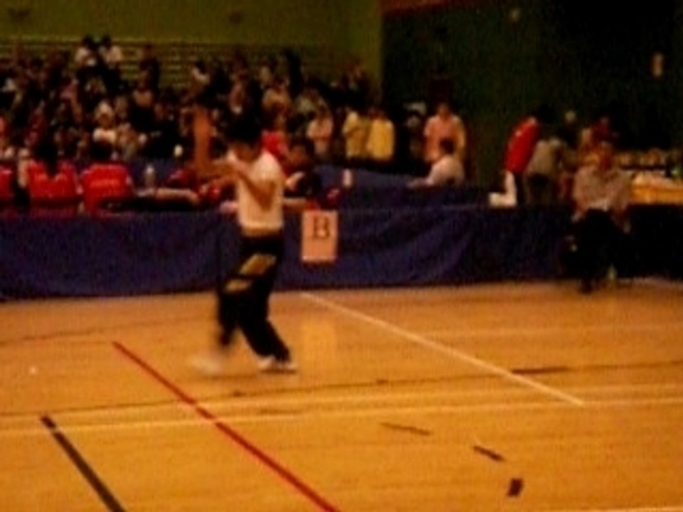 Human Mobile Stage No.10 - Martial Arts Competition