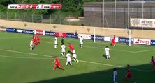 Switzerland U-18 2-0 France U-18 - Les Buts , All Goals (30/8/2016) / Friendly Match