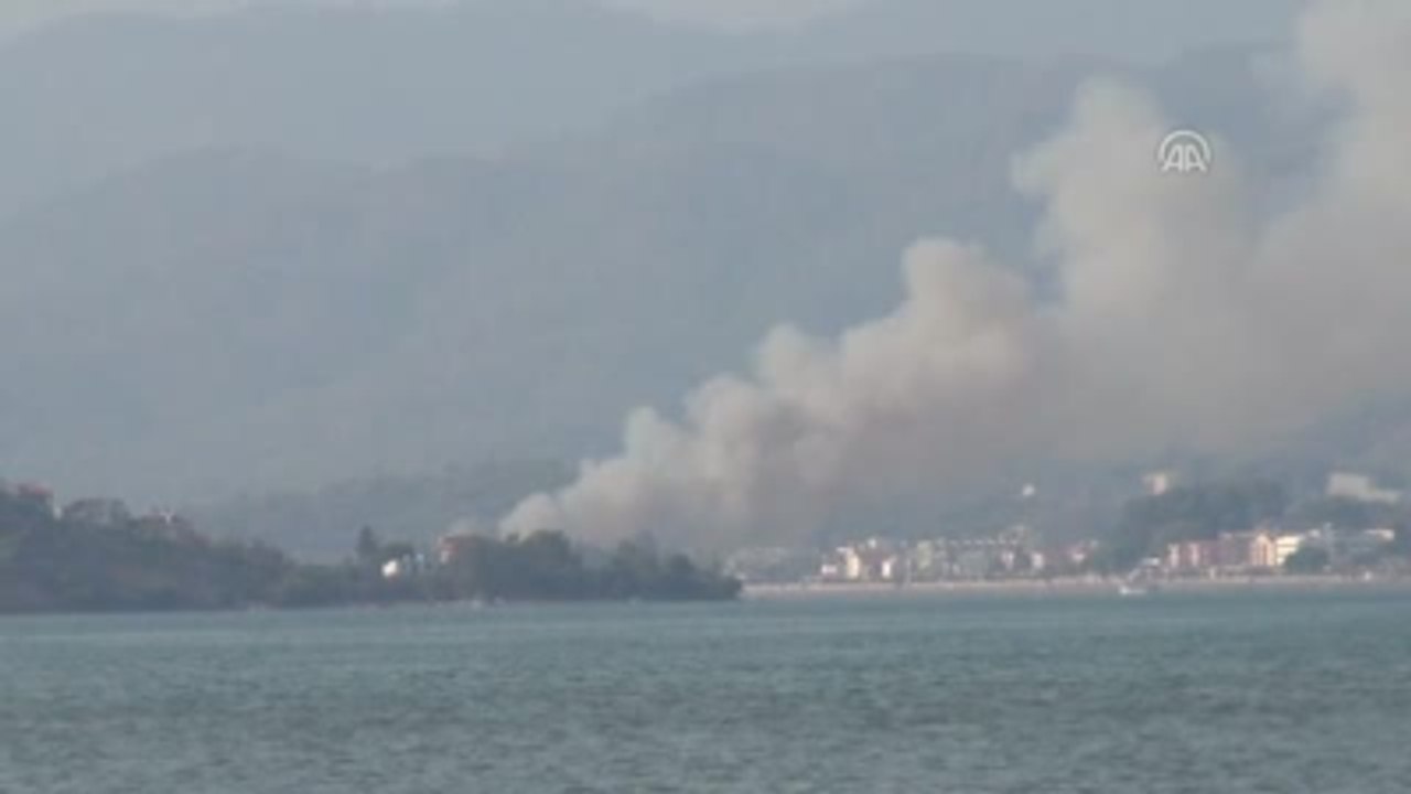 Sazlık Alanda Yangın
