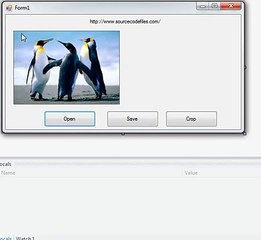 Crop image in VB.NET